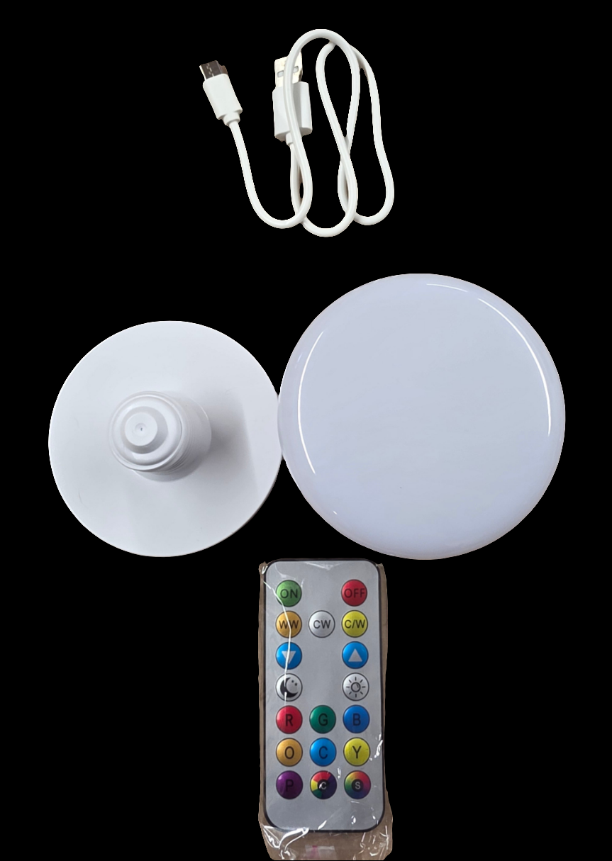 Set Of 2 Battery Operated Pendant Light with Remote. No electric required!