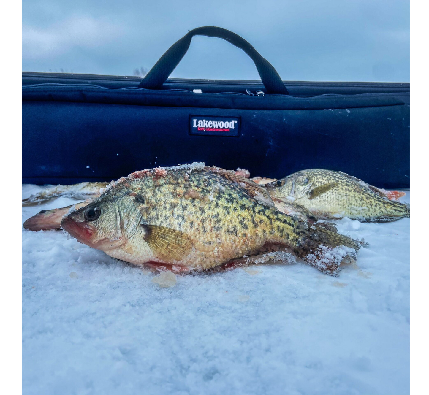 Ice Rod Caddy - 3 Sizes Available! - The Chaotic Grind Store