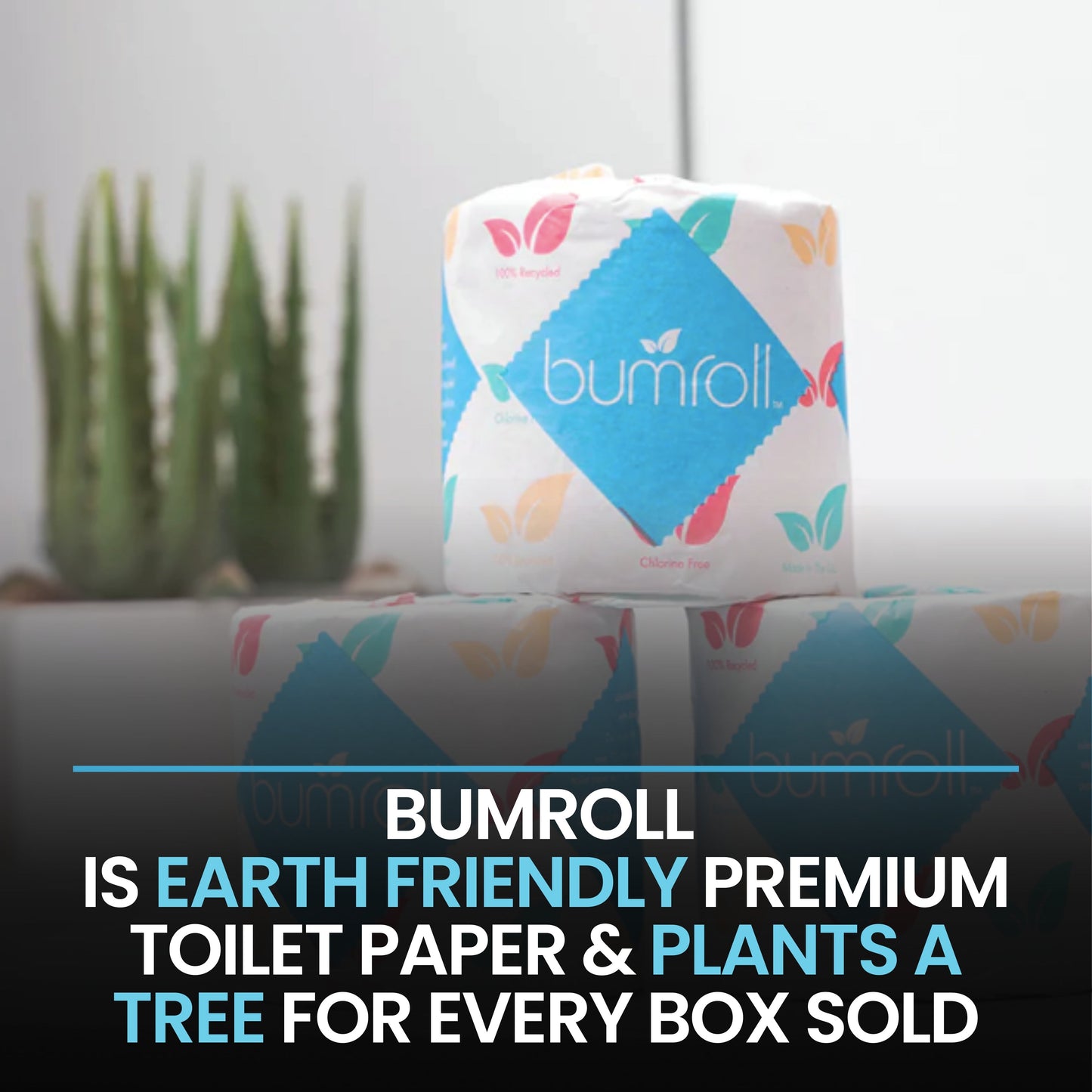 Bumroll, Premium Toilet Paper & Paper Towels Manufactured In California, Trees Planted In The United States